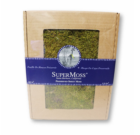 Preserved Sheet Moss ( 21593 )
