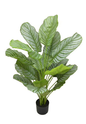 44" Artificial Real Touch Calathea Plant ( PC1135 )