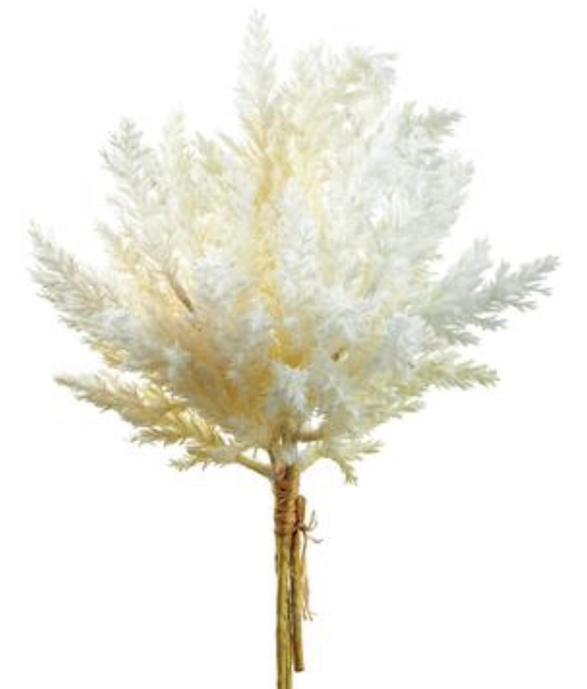14” Faux Pampas’s Grass ( FBQ151-Ivory )