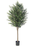 6’ Artificial Olive Tree ( LPO416-GR/TT )