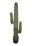 49" Faux Saguaro Cactus Plant ( CS2329P )