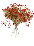 24” Faux Plastic Baby’s Breath ( SS999-RED )