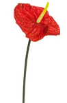 27.5" Real Touch Anthurium Spray ( FSA018-Red )
