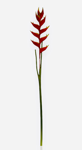 47'' HELICONIA HANGING SPRAY ( FSH902-RE )