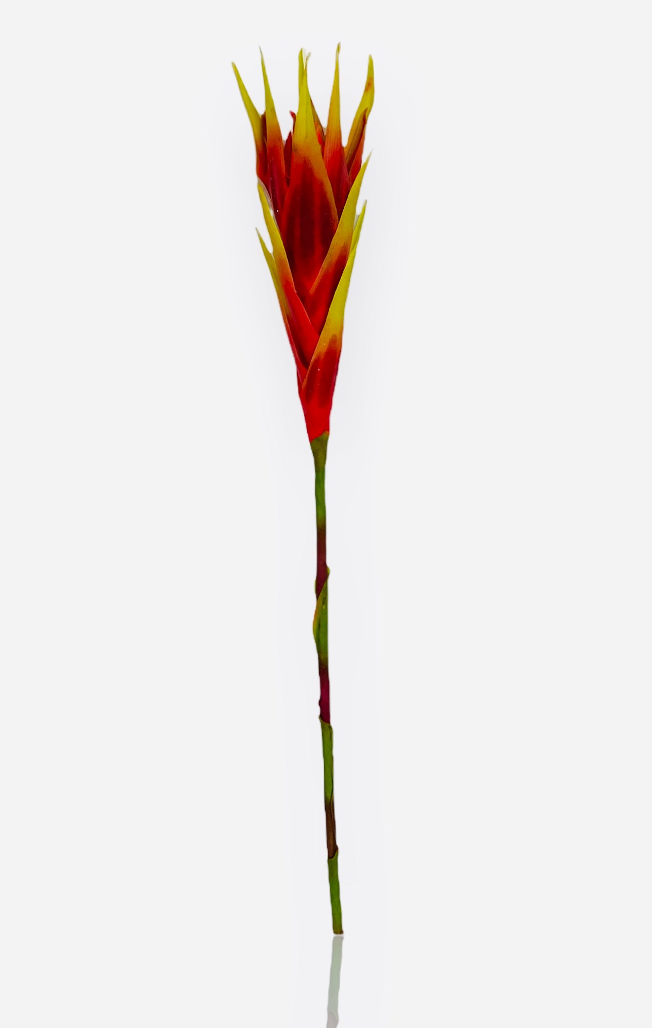 31” Real Touch Hawaiian Bromeliad Spray ( FSB612-RE/GR )