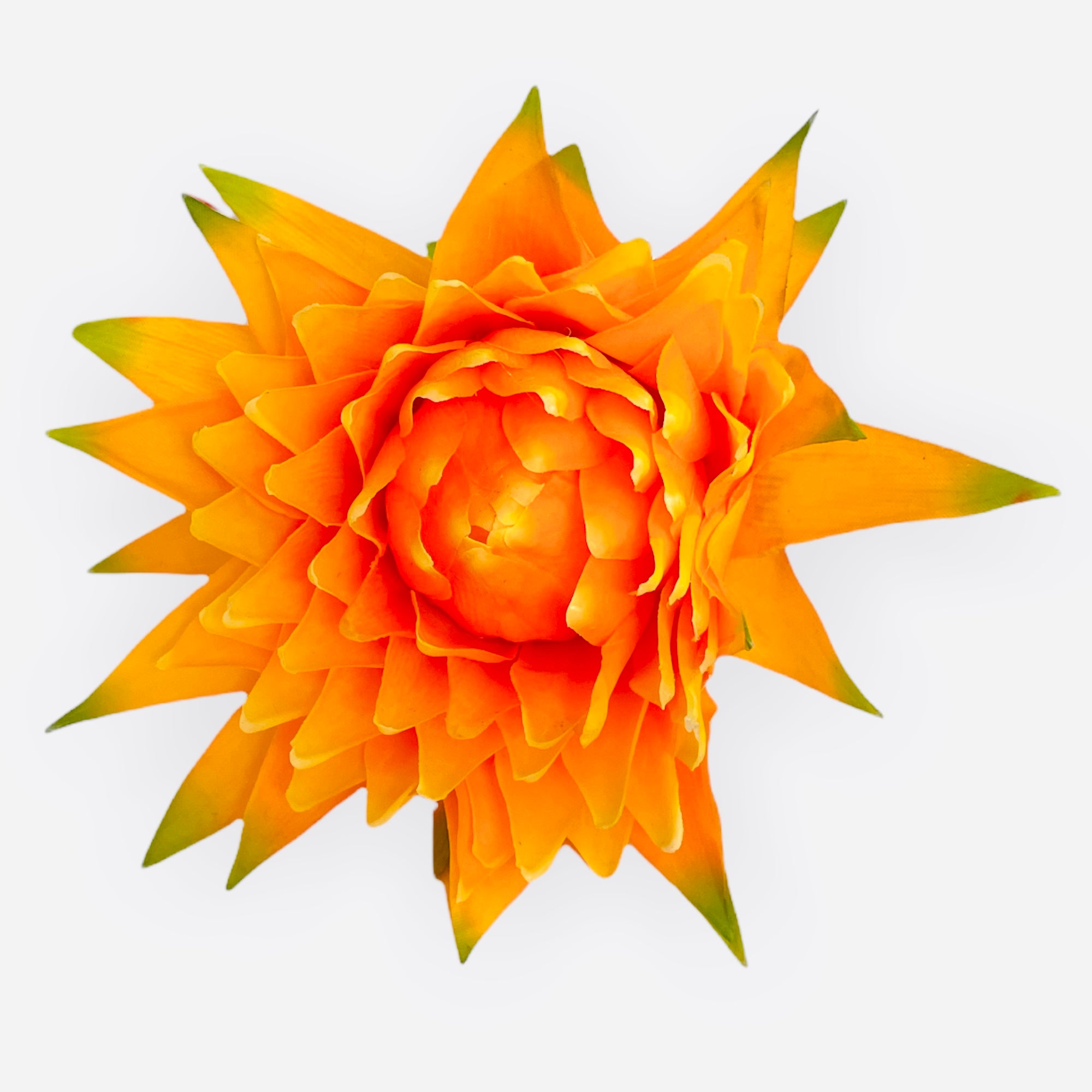 39" African Bromeliad Spray ( FSB620-YE/TT )
