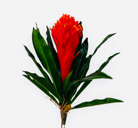 14" Bromeliad Spray ( FSB906-FL )