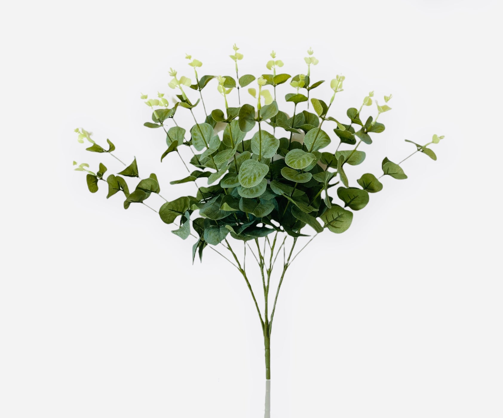 19'' EUCALYPTUS  BUSH ( B1601-Green )