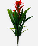 14'' BROMELIAD PLANT ( PPT016Red/Green )