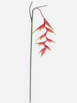 48'' Real Touch Heliconia Hanging Spray ( FSH067-BT )