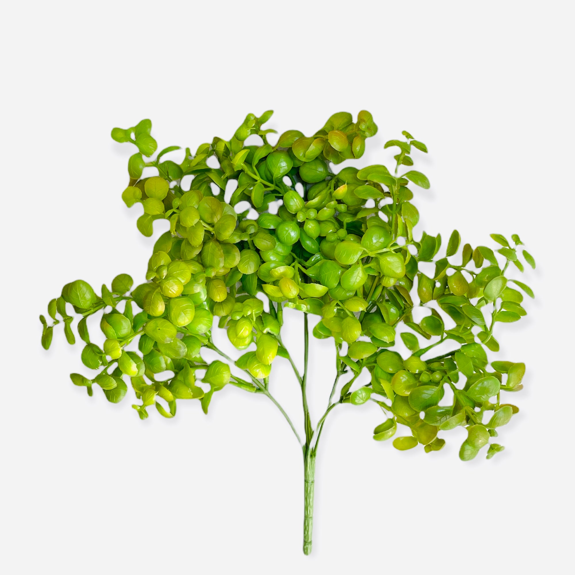 12'' JADE PLANT ( CM4681-GR/BU )
