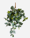 30” Fittonia Hanging Bush ( PBW915-GR )