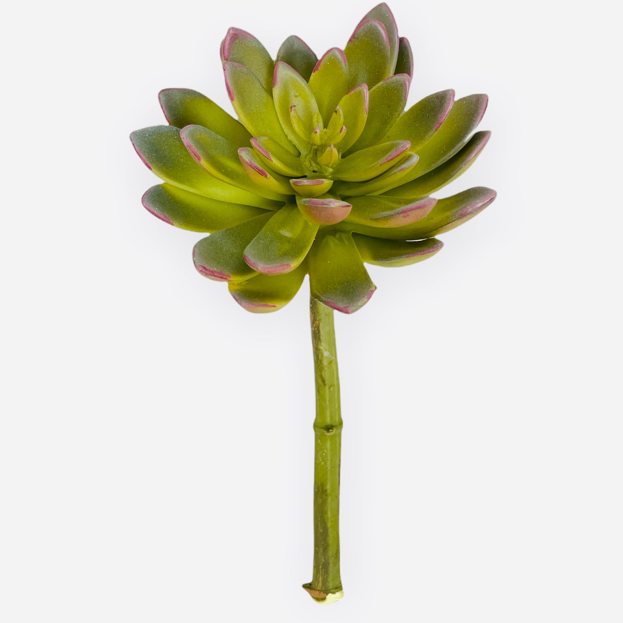 9'' ECHEVERIA PICK ( CM4313-GR/BU )