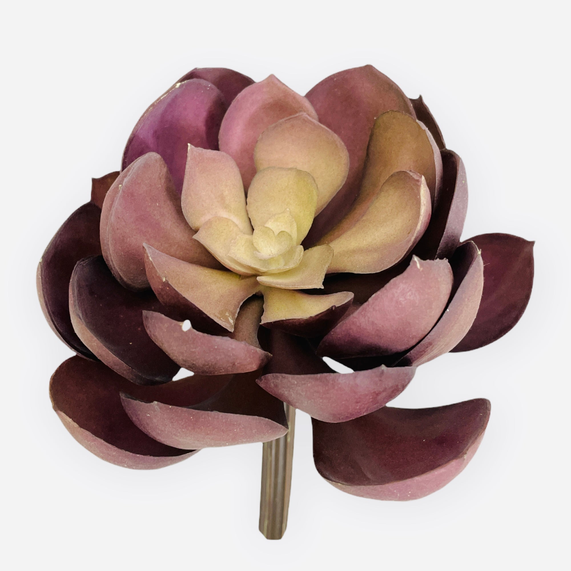 5'' ST.Echeveria Pick ( CKE038-GG )