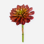 9'' SUCCULENT  ( 191470BG )
