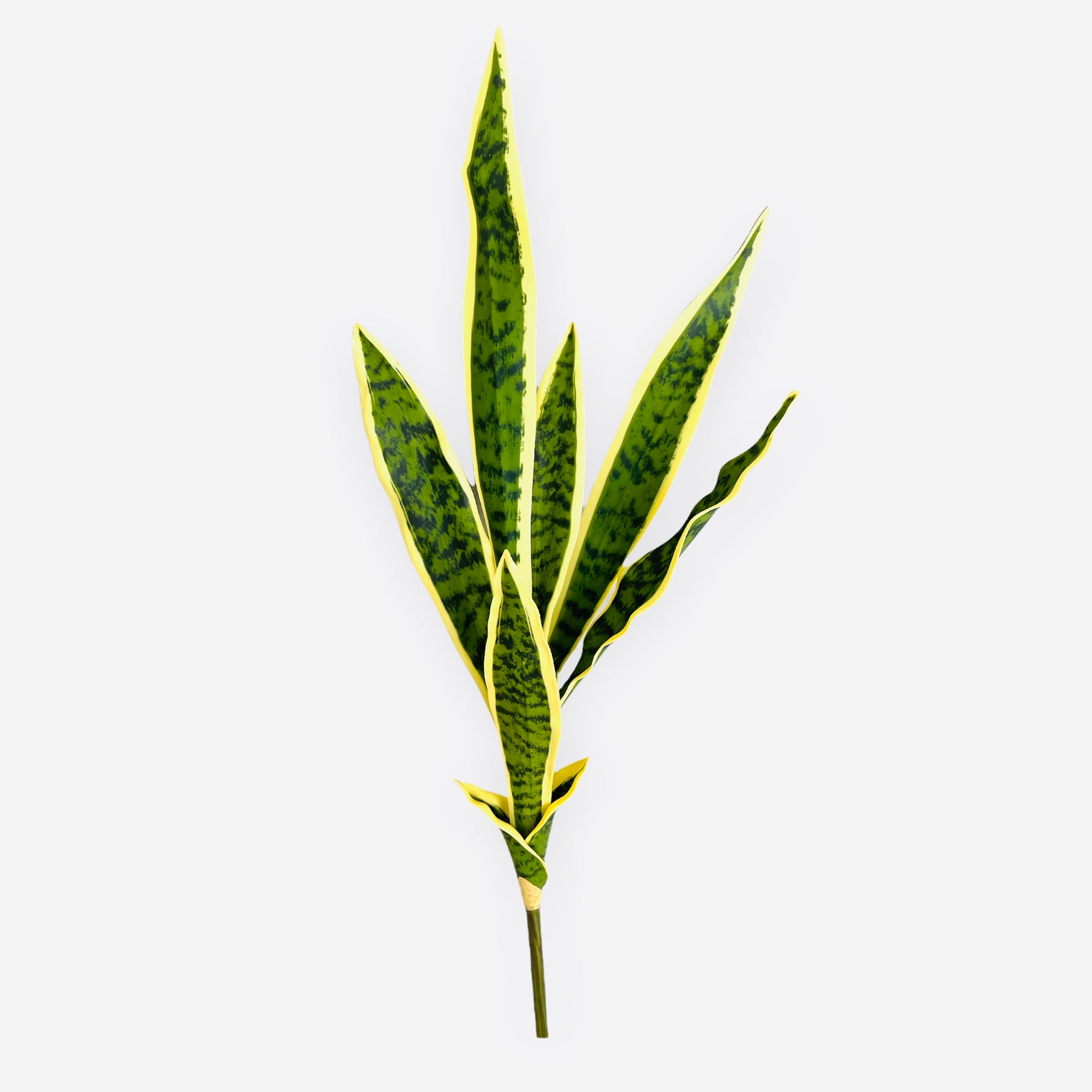 27'' SANSEVIERIA PLANT ( PPS674-VG )