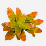 BROMELIAD BUSH ( BB8279GR1 )