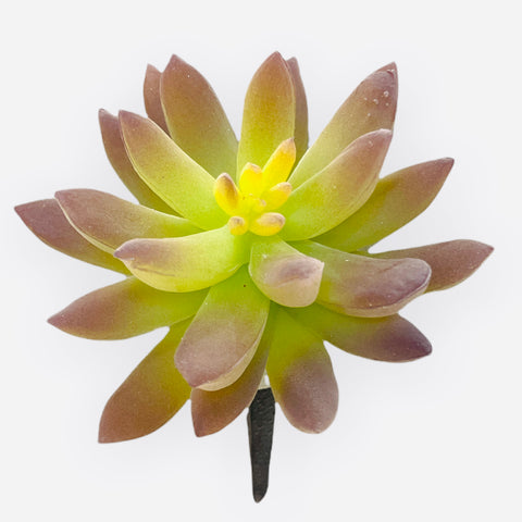 4''Mini Agave Pick Flocked ( CA9363-GR/PU )