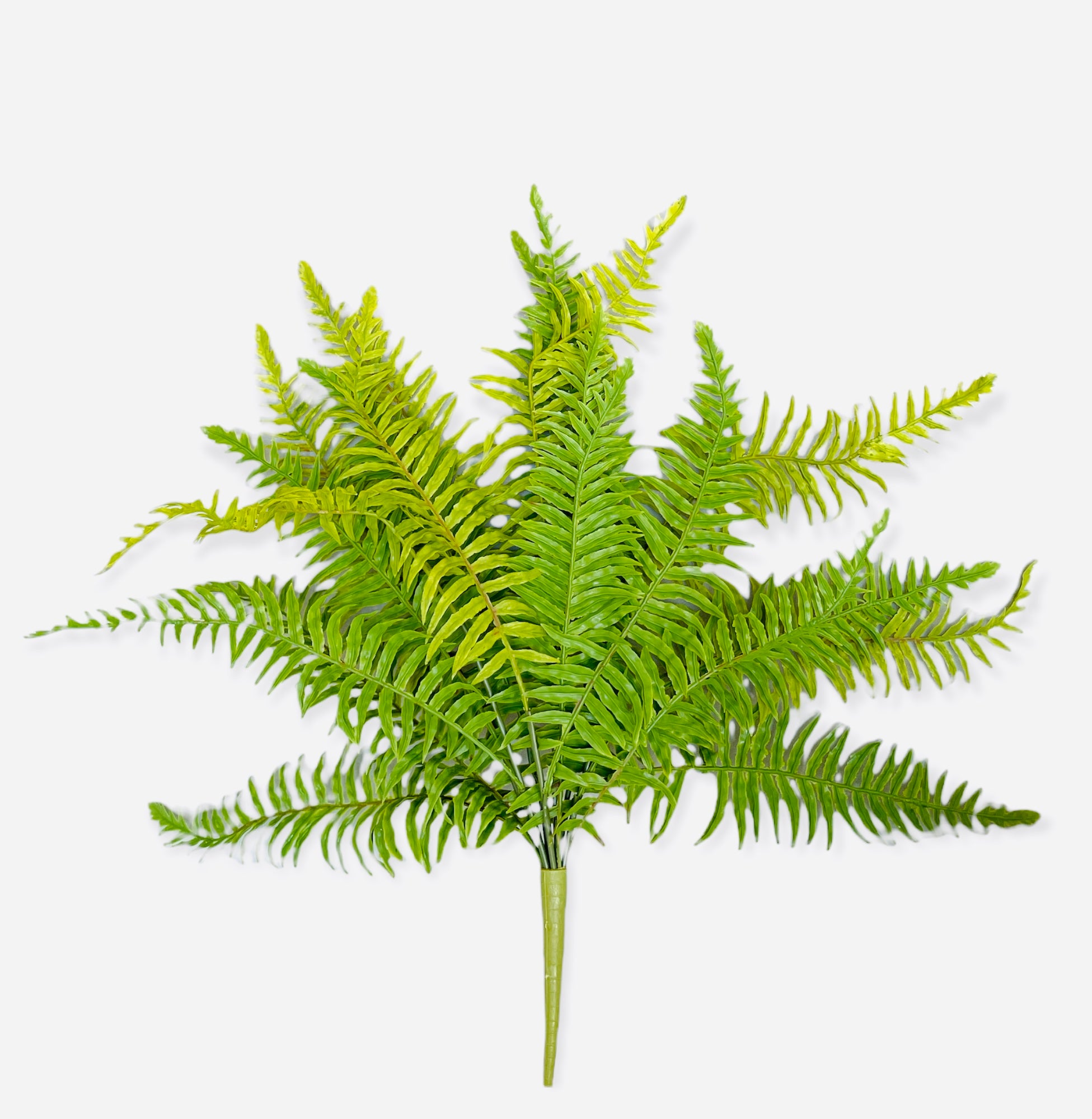 22'' SOFT PLA.BOSTON FERN BUSH ( PBF721-GR )