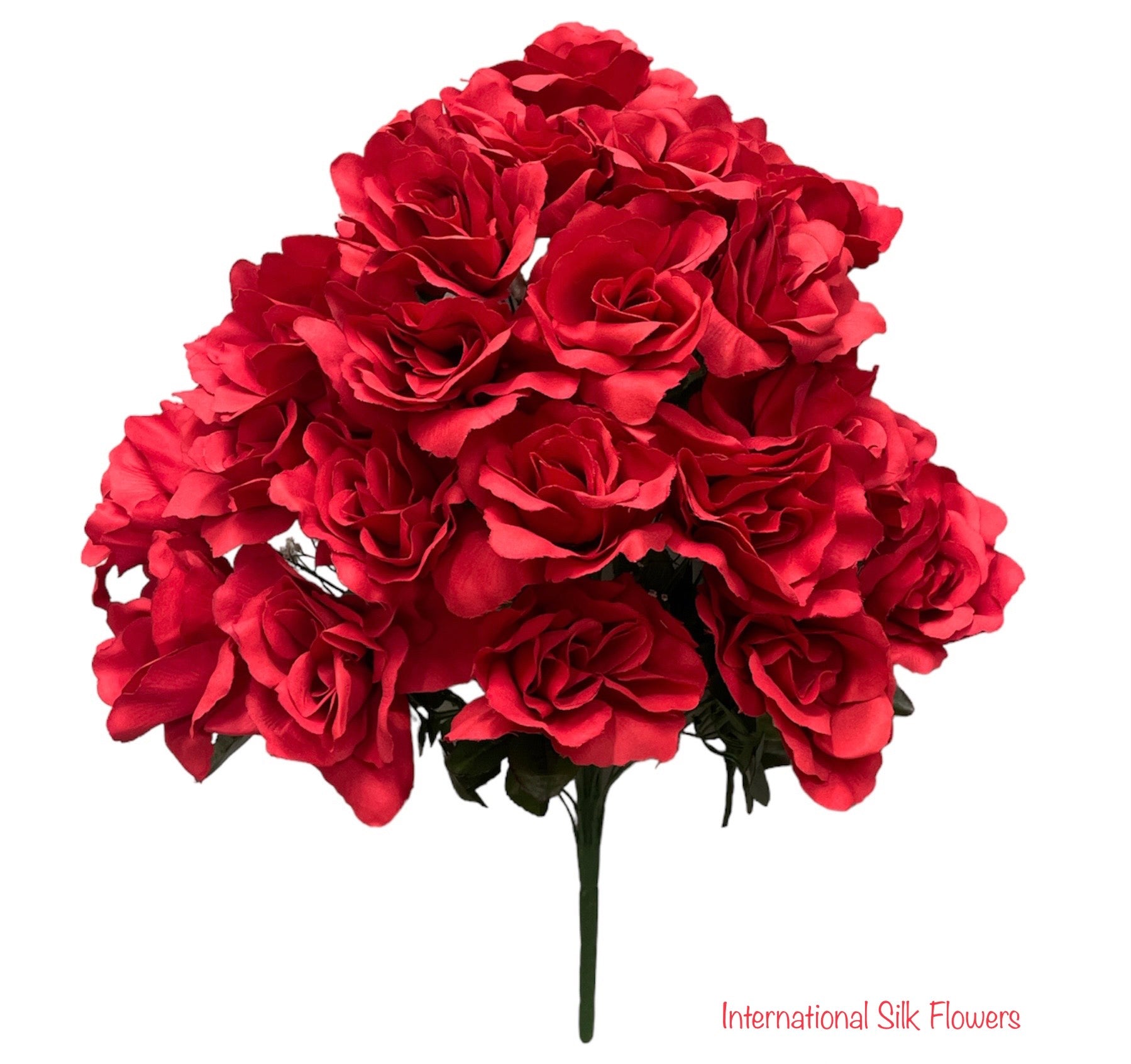 25'' Rose Bush ( INT637-Red/ Black )