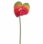 27" Real Touch Anthurium Spray ( JYA290-BU )