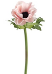 17" Silk Anemone Spray ( FSA801-Pink Black)