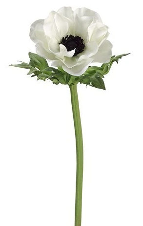17" Silk Anemone Spray ( FSA801-CR/BK )