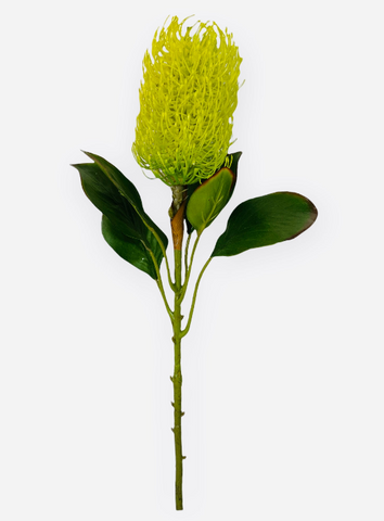 22” Real Touch Banksia Spray ( FSB211-Green )