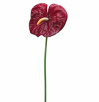 27" Real Touch Anthurium Spray ( JYA290-Red )