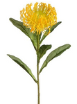 26" Open Needle Protea Spray ( FSP752-Yellow )