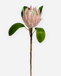 26” Artificial Queen Protea Spray ( HSP005-Pink/Green )