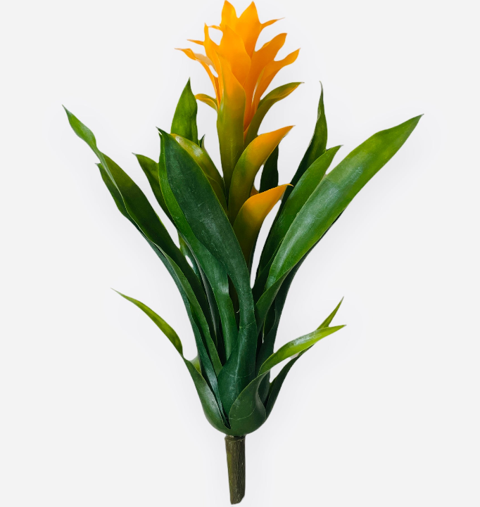 14'' BROMELIAD PLANT ( PPT016-Yellow Green )
