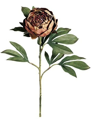 30" Faux Peony Spray ( GTP025-Coffee )