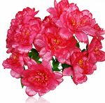 17" Satin Peony Bush ( INT1227-Fushia )