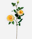 29” Silk Cabbage Rose Spray ( FSR038-Yellow/Apple )