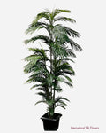 7' Areca Palm ( TAP768 )