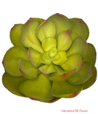 6'' Succulent Pick ( SQ0105-LG )