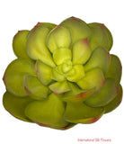 6'' Succulent Pick ( SQ0105-LG )