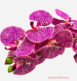 37" Real Touch Phalaenopsis Spray ( FO7195-PUW )