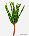 7'' ST.Worm Succulent Pick ( CS1228-GR )