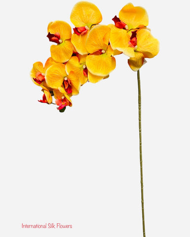 36" Silk Orchid Spray ( S1TJ16-Yellow ) INT57A