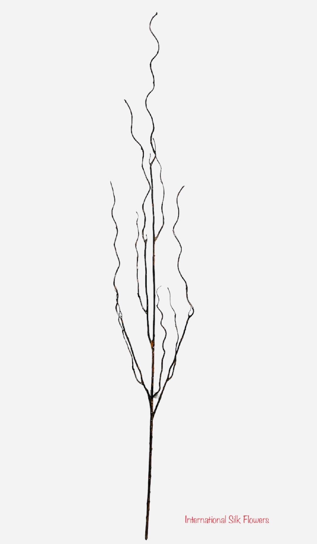 36'' Twig Curly ( 20057BN )