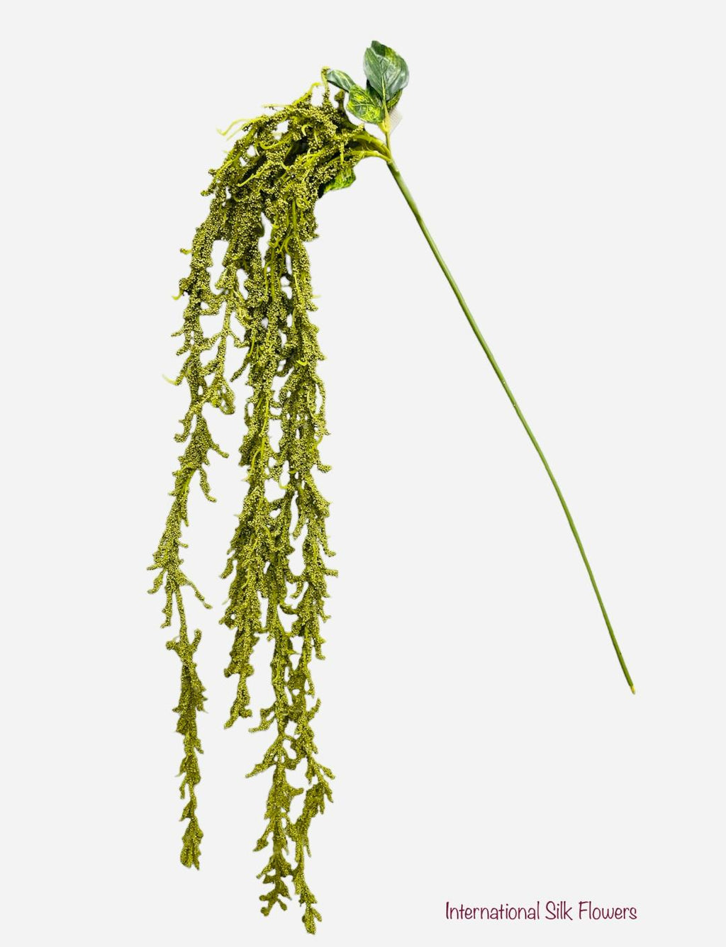 5' AMARANTHUS HANGING SPRAY ( FSA128-GR )