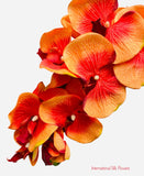 36" Silk Orchid Spray ( S1TJ16-Orange ) INT57A
