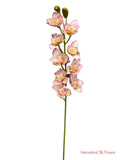 36'' Natural Touch Cymbidiu Orchid ( INT054-Cream/ Beauty Spot )