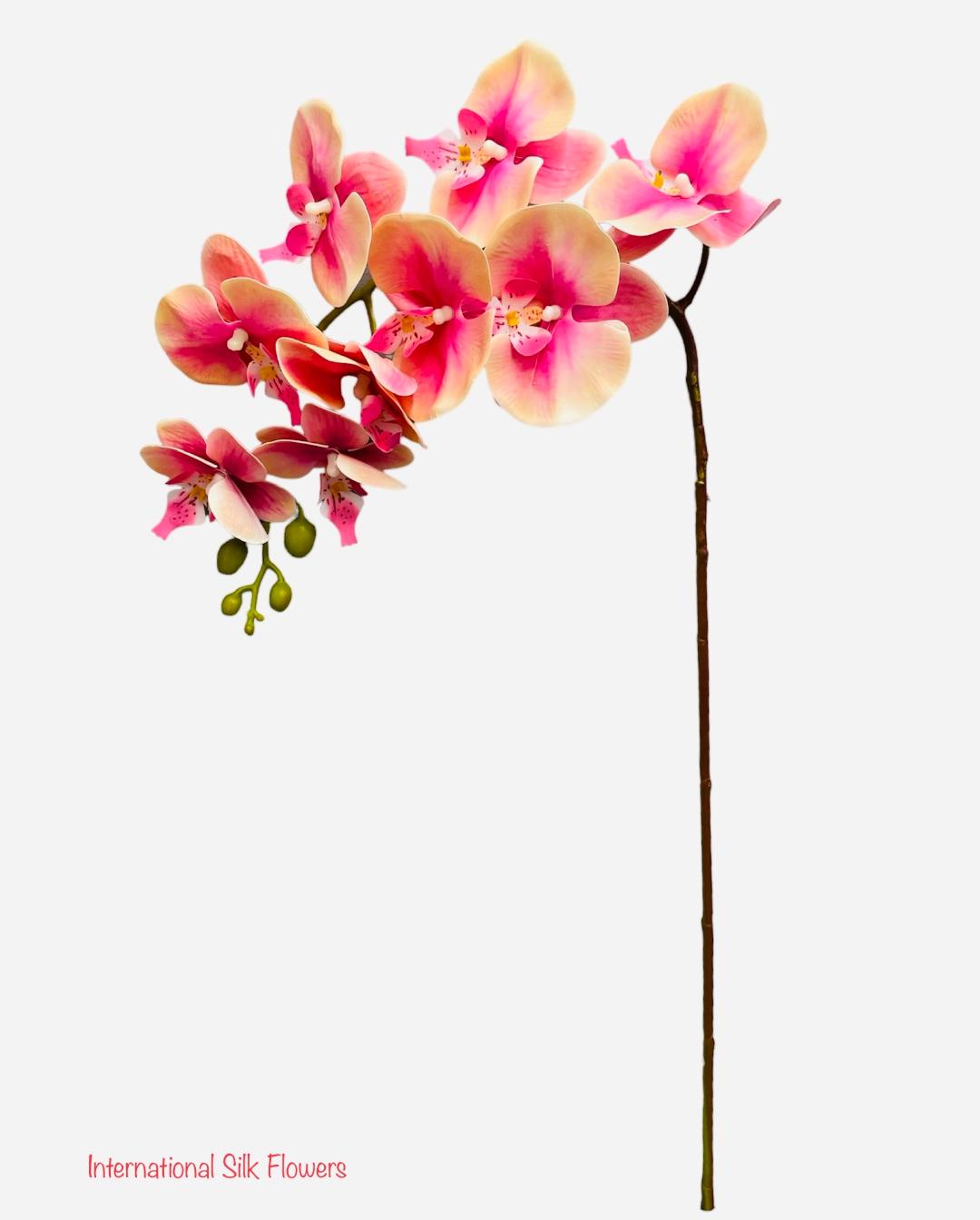 37'' Natural Touch Orchid ( INT053-Cream Mauve )