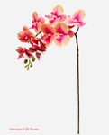 37'' Natural Touch Orchid ( INT053-Cream Mauve )