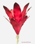 Bromeliad Bush ( BB8279-BU )