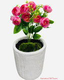 11'' Rose Bud Bush ( B580-Beauty )