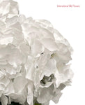 18" Silk Pongee Hydrangea Bush ( INT001-White )